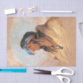 先住民アメリ絵画カの白プルーム 薄葉紙 (クラフト)