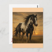 先住民ア絵を描メリカ馬はがき – Kangee ポストカード (正面/裏面)