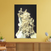 先住民シルバー(Ag) on limestone,カナダ キャンバスプリント (インサイチュ (リビング))