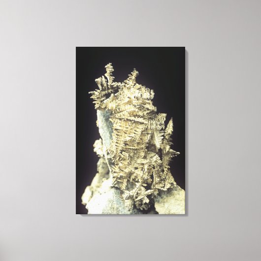 先住民シルバー(Ag) on limestone,カナダ キャンバスプリント (正面)