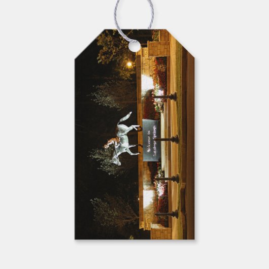 先住民ダンサー馬像サラトガギフトラベル ギフトタグ (正面)