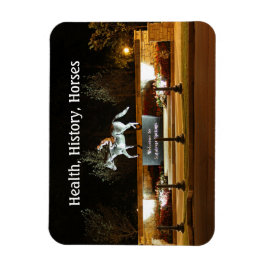 先住民ダンサー馬像サラトガ磁石 マグネット