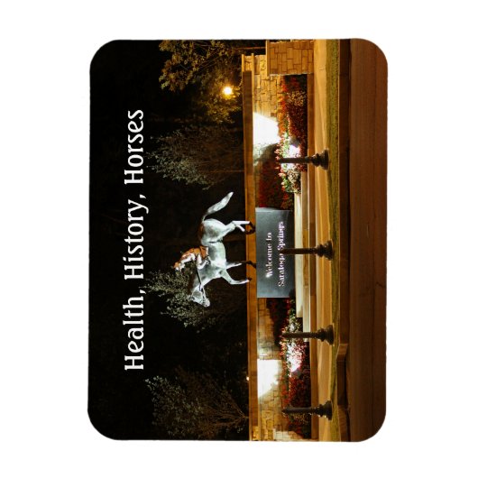 先住民ダンサー馬像サラトガ磁石 マグネット (縦)