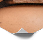 先住民卵 ポスター (角)