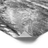 先住民王室のパームズインファカハッチストランド ポスター (角)