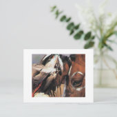 先住民系アメリカ人 ポストカード (スタンド正面)