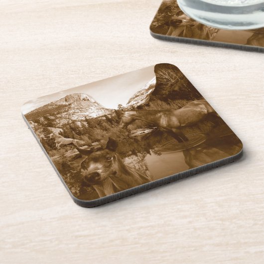 先住民系 コースター (左側)