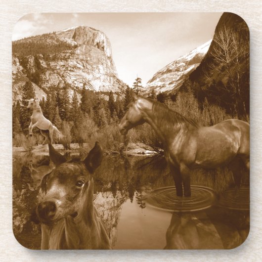 先住民系 コースター (正面)