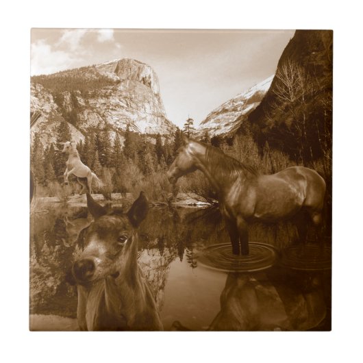 先住民系 タイル (正面)