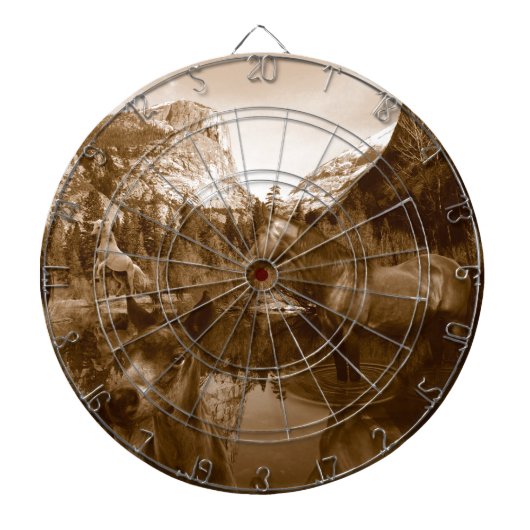 先住民系 ダーツボード (正面)