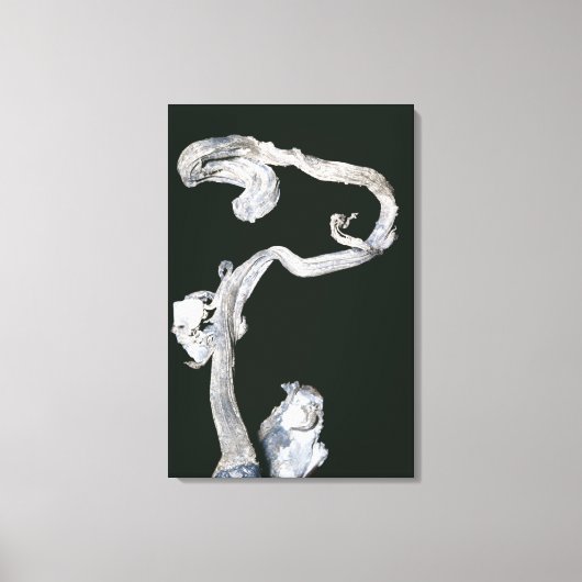 先住民銀 キャンバスプリント (正面)