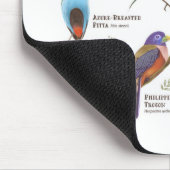 先住民鳥（フィリピン） マウスパッド (コーナー)