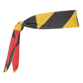 先住民 タイヘッドバンド (回転270)