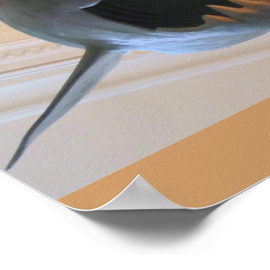 先史時代のサメ ポスター (角)