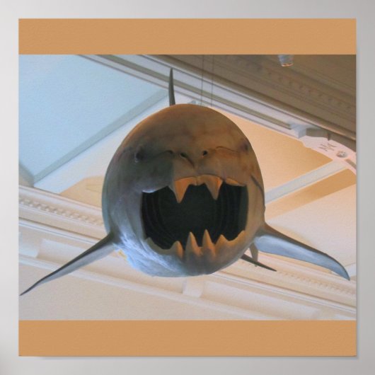 先史時代のサメ ポスター (正面)