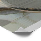 先史時代のジョーズ ポスター (角)