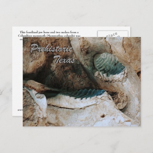 先史時代のテキサス州はがき ポストカード (正面/裏面)