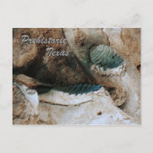 先史時代のテキサス州はがき ポストカード (正面)