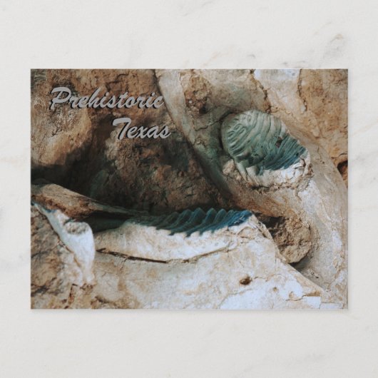 先史時代のテキサス州はがき ポストカード (正面)