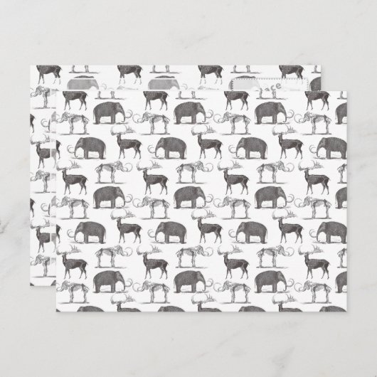 先史時代の動物 – ウールマンモスとメガセロス ポストカード (正面/裏面)