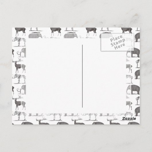 先史時代の動物 – ウールマンモスとメガセロス ポストカード (裏面)