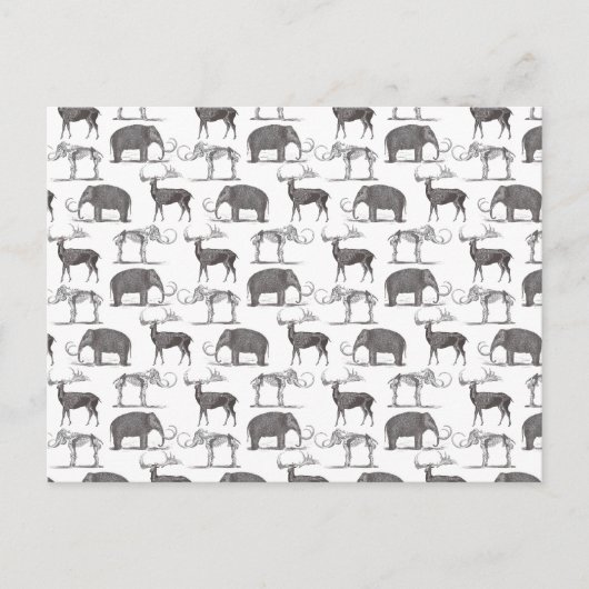 先史時代の動物 – ウールマンモスとメガセロス ポストカード (正面)