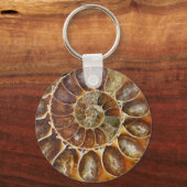 先史時代の化石カタツムリ貝殻黒動物自然 キーホルダー (正面)