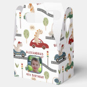 先史時代の恐竜カラフル群写真 フェイバーボックス (オープン)