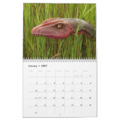 先史時代の恐竜2025 カレンダー (1月 2027)