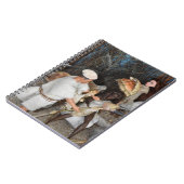 先史時代の生活。 ノートブック (左側)