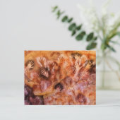 先史時代の絵画洞窟の手ポストカード ポストカード (スタンド正面)