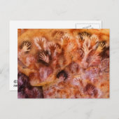 先史時代の絵画洞窟の手ポストカード ポストカード (正面/裏面)