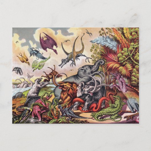 先史時代の遊び場はがき シーズンポストカード (正面)