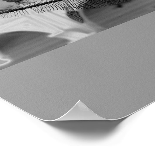 先史時代の魚B+W ポスター (角)