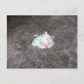 先史時代の ポストカード (正面)