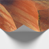 先史時代の ラッピングペーパー (角)