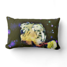 先天主義者：天的な旅