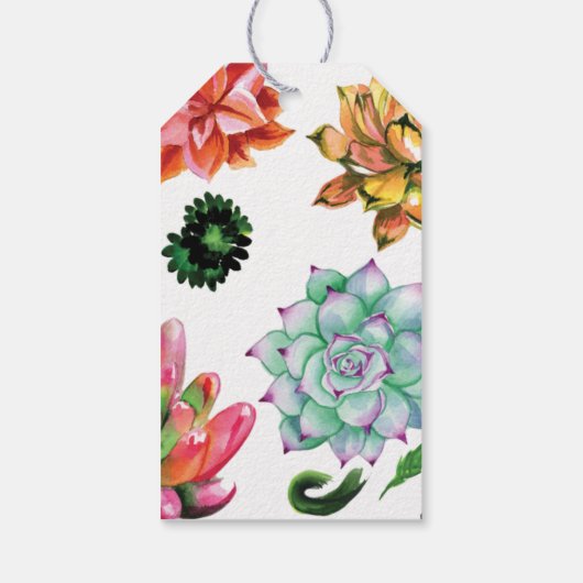 先生が成長する知識の種を植える ギフトタグ (裏面)