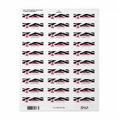 先生の学校ラベル – ゼブラプリント&ピンク ラベル (フルシート)