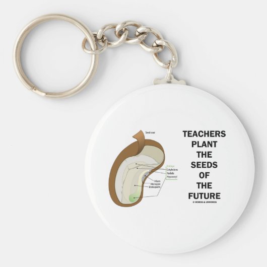 先生は未来の種を植える（豆種） キーホルダー (正面)