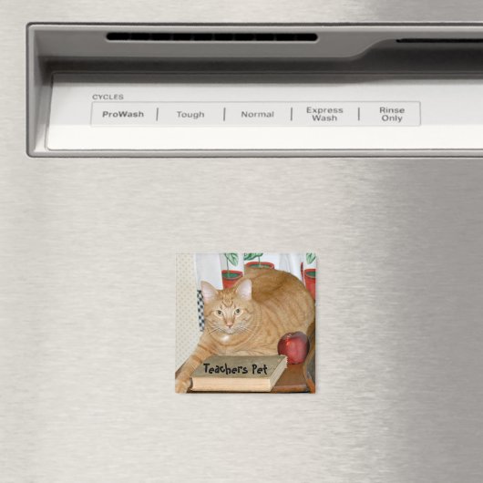 先生ペット マグネット (インサイチュ (食洗機))