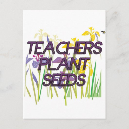 先生植物種子 ポストカード (正面)