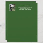 先生鑑賞用文房具、パンダ、緑のトリム レターヘッド (正面/裏面)