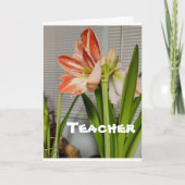 **先生**イースター・イースター・カード シーズンカード (正面)