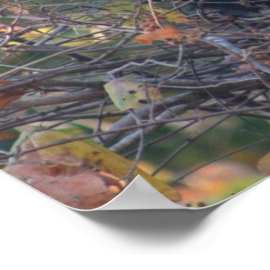 先生 ポスター (角)