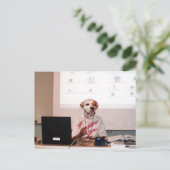 先生 ポストカード (スタンド正面)