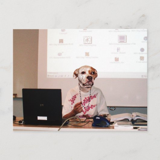 先生 ポストカード (正面)