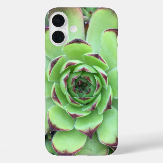 先端が紫のグリーンの多肉植物のクローズアップ写真 Case-Mate iPhoneケース (裏面)