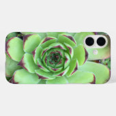 先端が紫のグリーンの多肉植物のクローズアップ写真 Case-Mate iPhoneケース (裏面 (横))