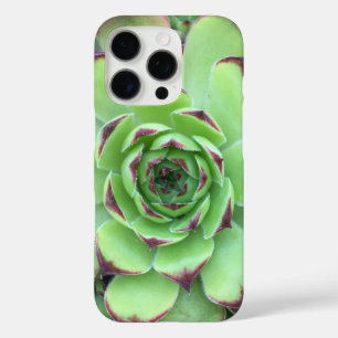 先端が紫のグリーン系多肉植物のクローズアップ写真 iPhone 16 PROケース